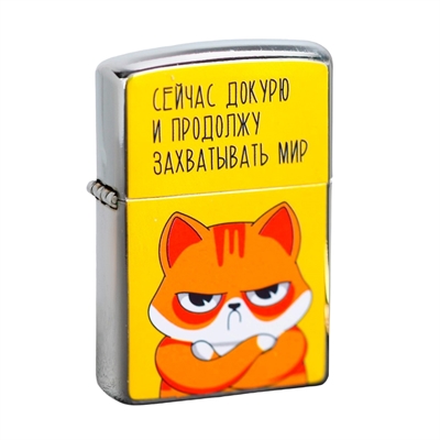 Зажигалка бензиновая Сейчас докурю Кот 4433070 - фото 1357263