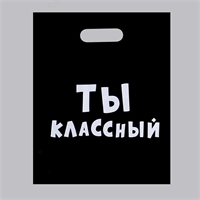 Пакет Ты классный, подарочный 31х40см 4840904