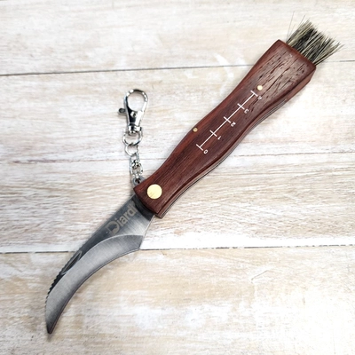 Нож складной Грибник с щёткой ст.440С 5781