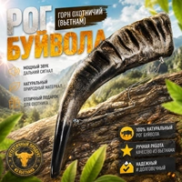 Рог Буйвола - Горн охотничий (Вьетнам) 89645
