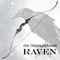 Лук традиционный Centershot Raven 60" (30) JKMZG-19A03-40-R